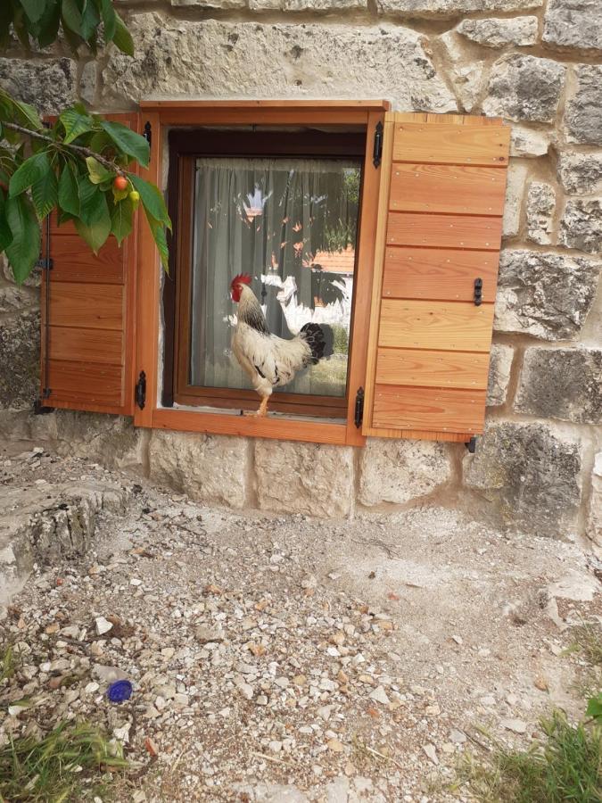 Patakun Holiday Home For 5, With Heated Pool Lecevica Buitenkant foto